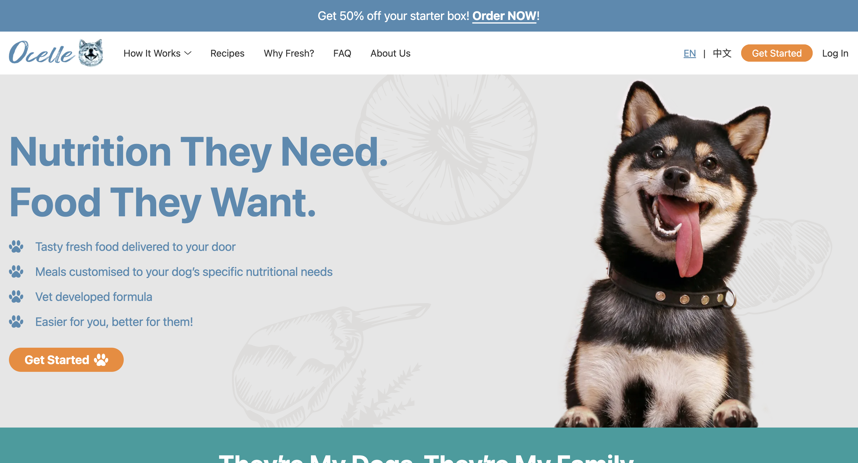 Company: Atech Solution - Ocelle